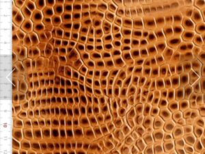 Sarja Impermeável Digital 3D 50x150cm - Efeito Couro Craquelado